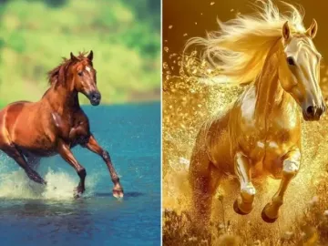 Năm Bính Ngọ 2026, đặt hình nền ngựa trên điện thoại thế nào để thêm may mắn?