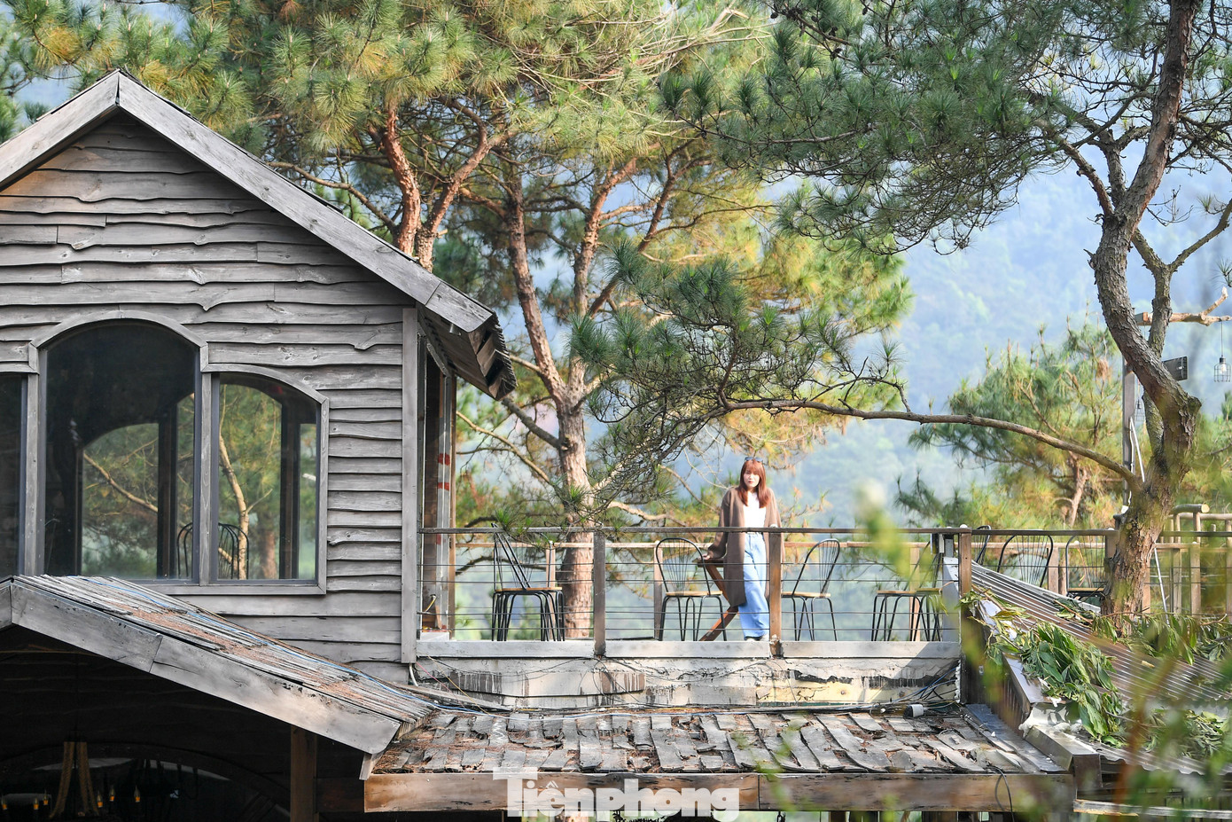 Tại các quán cà phê nằm trên sườn đồi hoặc giữa rừng thông, khu vực ngồi được bố trí ngoài trời, rải rác dưới tán cây. Một số bàn đặt sát mép đồi với tầm nhìn hướng xuống thung lũng; nơi khác trải thảm, kê ghế lười để khách có thể ngồi hoặc nằm thư giãn. Buổi sáng có sương nhẹ và không khí se lạnh; đến trưa, nắng dịu hơn, thuận tiện cho các hoạt động ngoài trời.