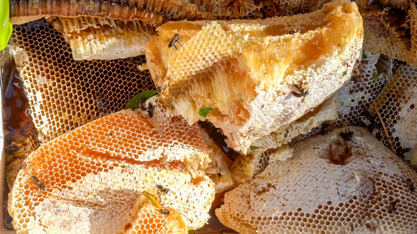 Trước đó, Bộ Văn hóa - Thể thao và Du lịch đã công nhận Nghề gác kèo ong là Di sản Văn hóa phi vật thể quốc gia. Bên cạnh đó, mật ong rừng U Minh cũng được Hội đồng xác lập kỷ lục Việt Nam công nhận tốp 100 đặc sản quà tặng Việt Nam.