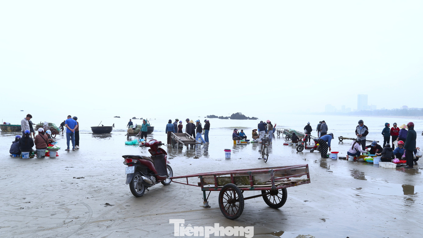 Khoảng 7 giờ sáng 20/2, từng đoàn thuyền thúng nối nhau vào bờ dọc bãi biển Cửa Lò (phường Cửa Lò, tỉnh Nghệ An) với cá, tôm, ghẹ… tươi rói. Trên bờ, hàng chục tiểu thương đã chờ sẵn.