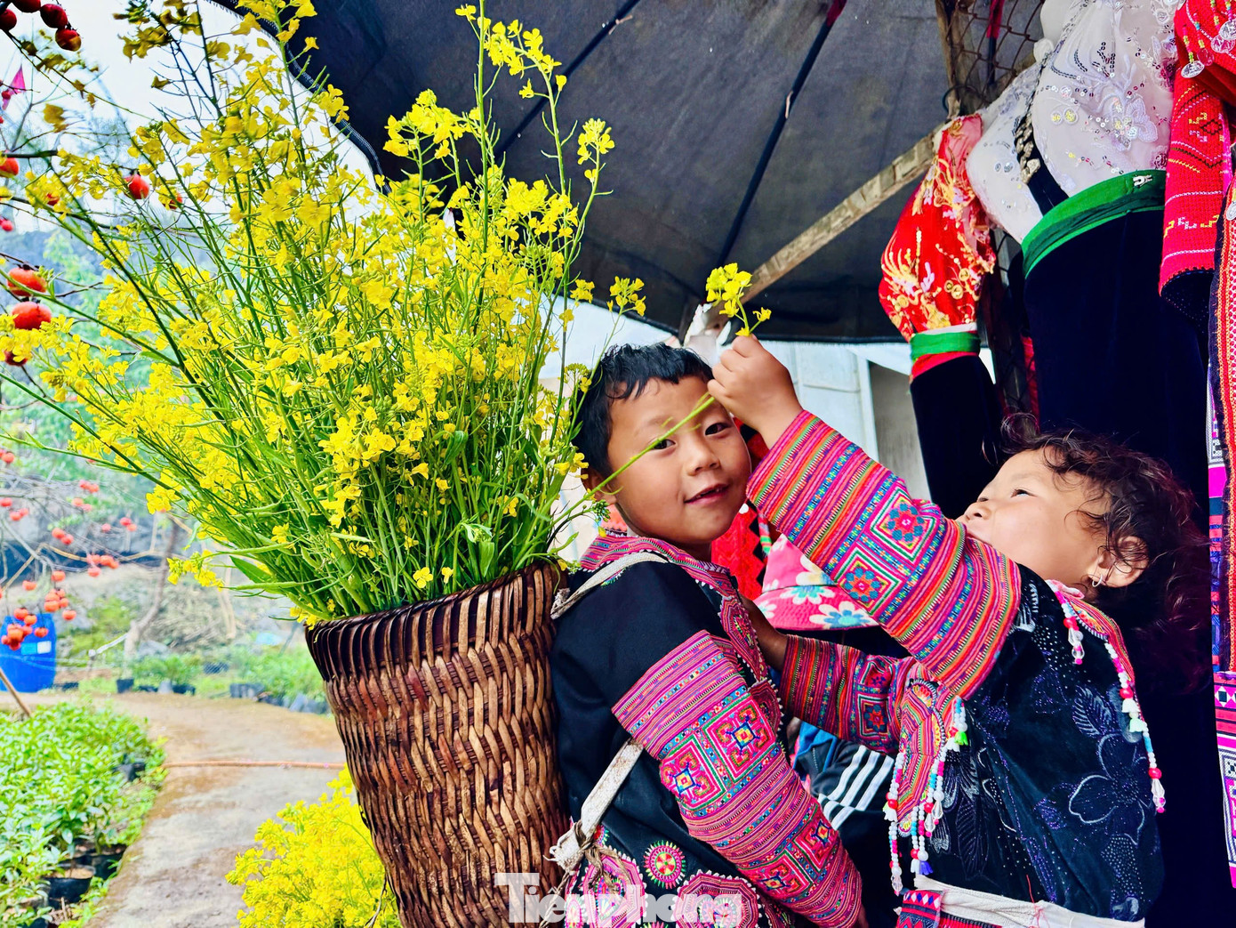 Kiếm bộn tiền nhờ dịch vụ sống ảo ăn theo mùa hoa Mộc Châu 25 Kiếm bộn tiền nhờ dịch vụ amp;#34;sống ảoamp;#34; ăn theo mùa hoa Mộc Châu - 6