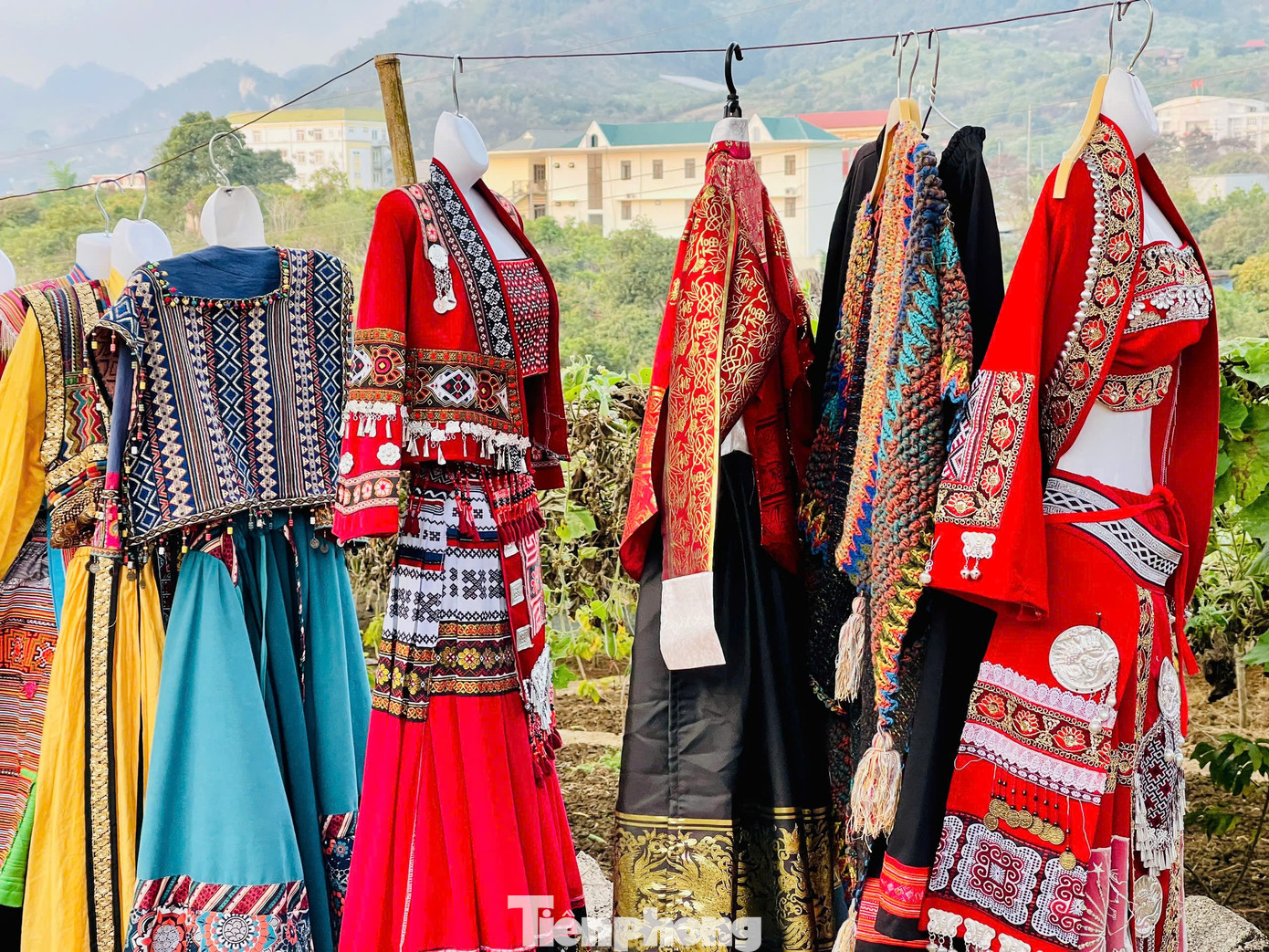 Kiếm bộn tiền nhờ dịch vụ sống ảo ăn theo mùa hoa Mộc Châu 26 Kiếm bộn tiền nhờ dịch vụ amp;#34;sống ảoamp;#34; ăn theo mùa hoa Mộc Châu - 7