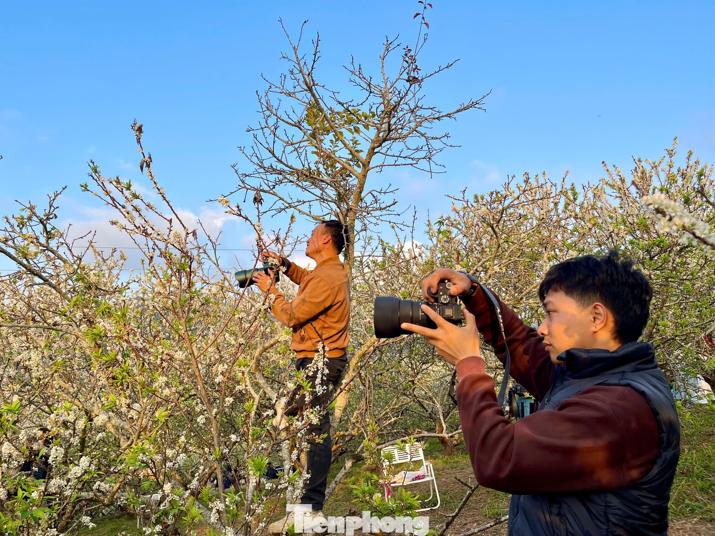 Kiếm bộn tiền nhờ dịch vụ sống ảo ăn theo mùa hoa Mộc Châu 33 Kiếm bộn tiền nhờ dịch vụ amp;#34;sống ảoamp;#34; ăn theo mùa hoa Mộc Châu - 13