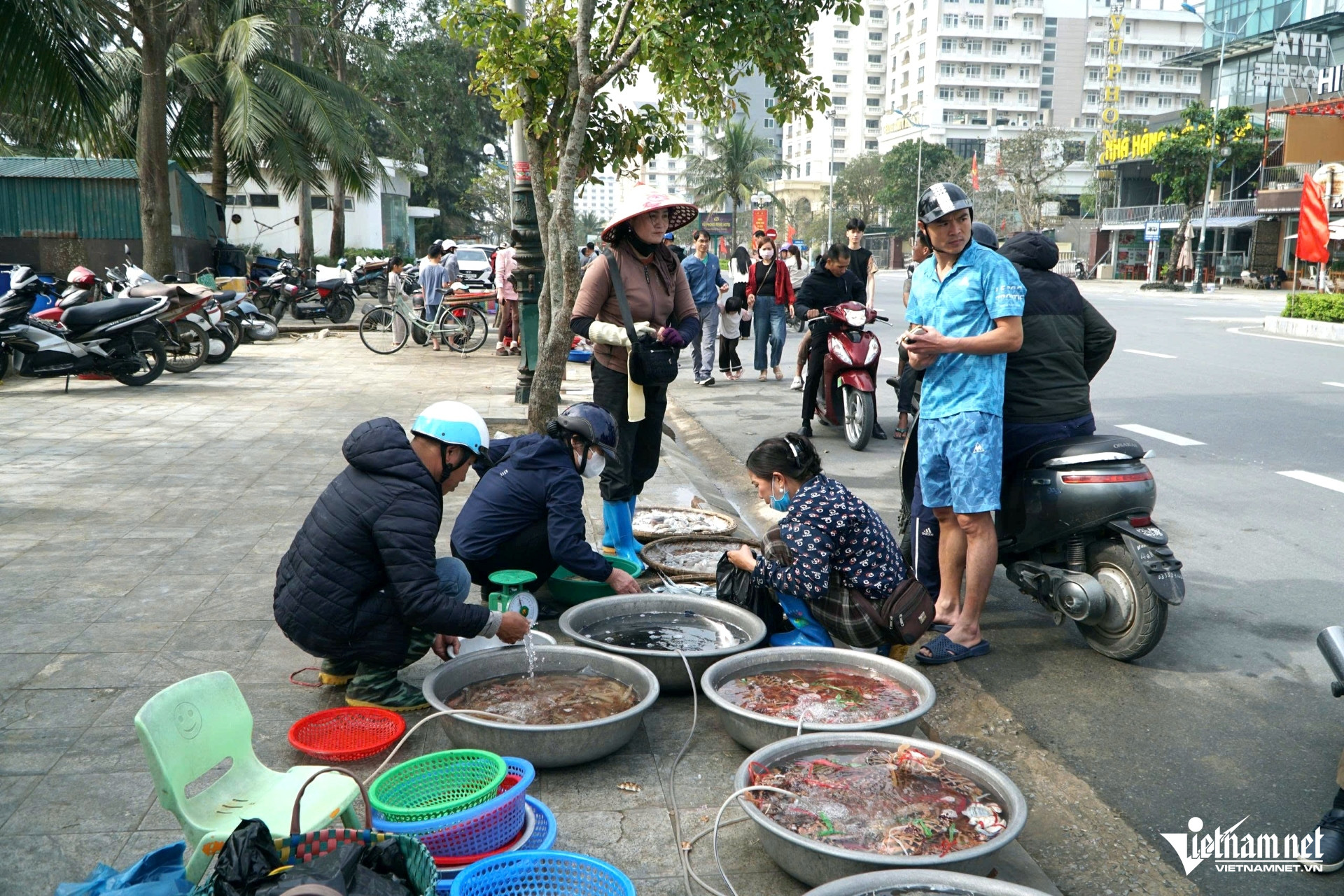 Người dân xuống tận biển nhưng vẫn không thể mua được món cá khoai. Ảnh: Lê Dương