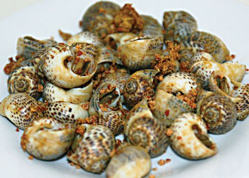 Thịt ốc bông dai nhẹ, vị ngọt tự nhiên, phù hợp nhiều cách chế biến.