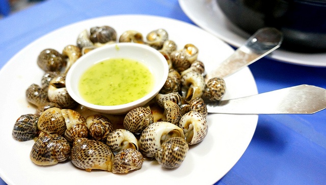 Ốc bông thường được chế biến hấp, xào bơ tỏi hoặc sốt trứng muối.