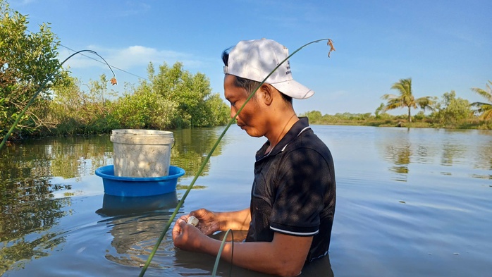 VIDEO: Mò hang, cắm câu bắt “con đặc sản” ở Cà Mau - 3