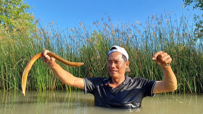 VIDEO: Mò hang, cắm câu bắt “con đặc sản” ở Cà Mau - 7