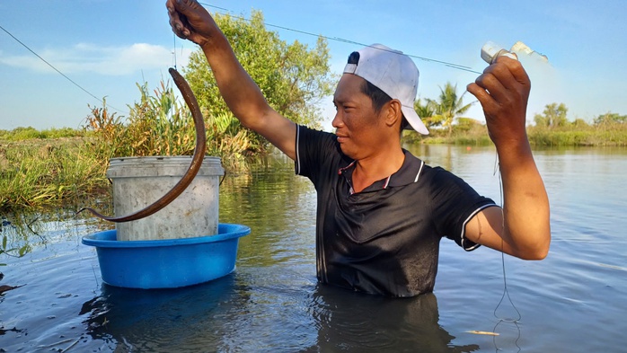 VIDEO: Mò hang, cắm câu bắt “con đặc sản” ở Cà Mau - 8