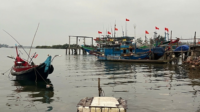 Nhiều ghe vào bờ sau một đêm ra biển xúc mực.