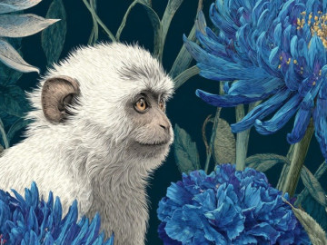 Eva tám - Top con giáp có vận tiền bạc rực rỡ nhất tháng 2, tiền vào từ nhiều nguồn