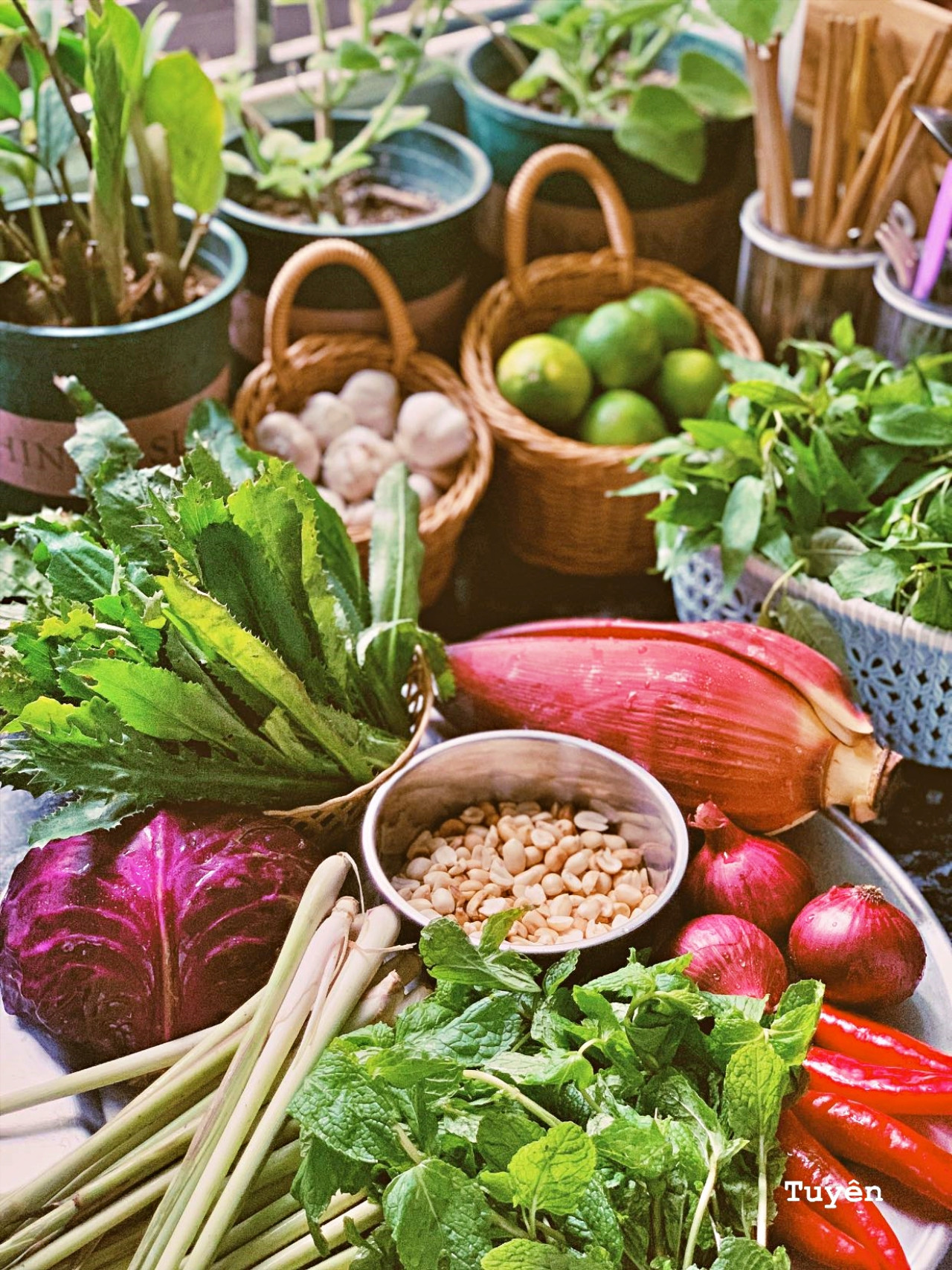 Ảnh minh họa: Trần Tuyên