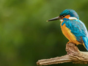 Bà bầu - 4 ngày sinh Âm lịch có mệnh hút Thần Tài, sung túc hiếm ai bì kịp