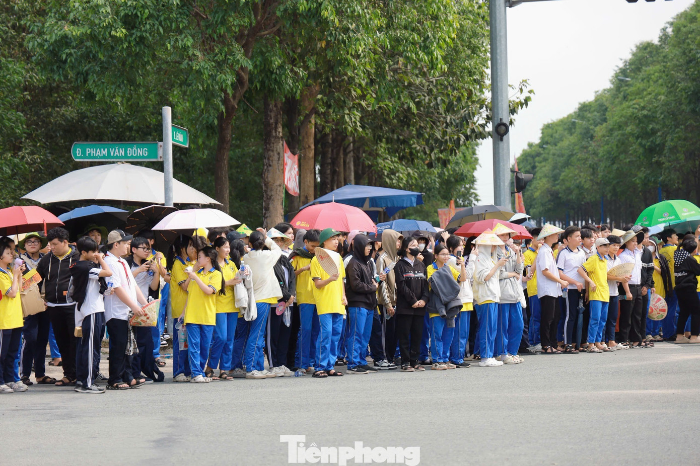 Rất đông người đứng bên đường chờ kiệu Bà đi qua.