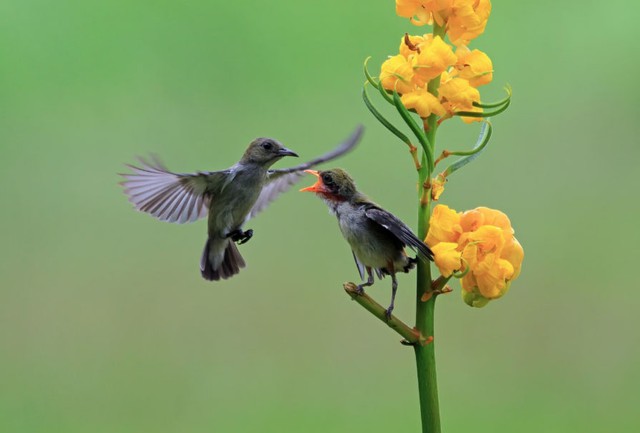 Đến tuổi trung niên và hậu vận, người sinh vào ngày 2/1 Âm lịch có cuộc sống dần ổn định, gia đình hòa thuận, con cháu sum vầy. Ảnh minh họa