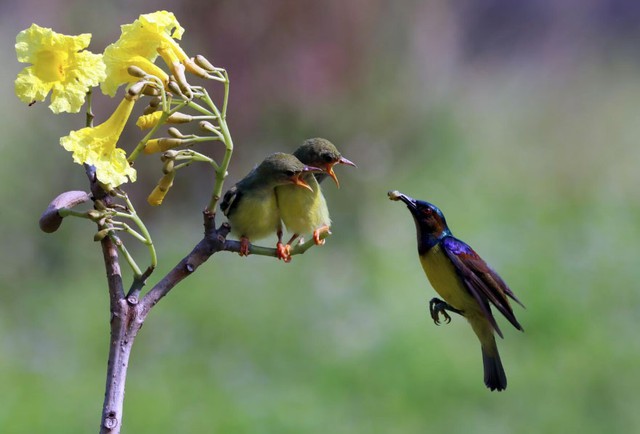Bước vào nửa sau cuộc đời, người sinh vào ngày 20/3 Âm lịch có xu hướng sống chậm lại, chú trọng gia đình và sự bình an nội tâm. Cuộc sống vì thế trở nên nhẹ nhàng, hài hòa và đầy ý nghĩa. Ảnh minh họa