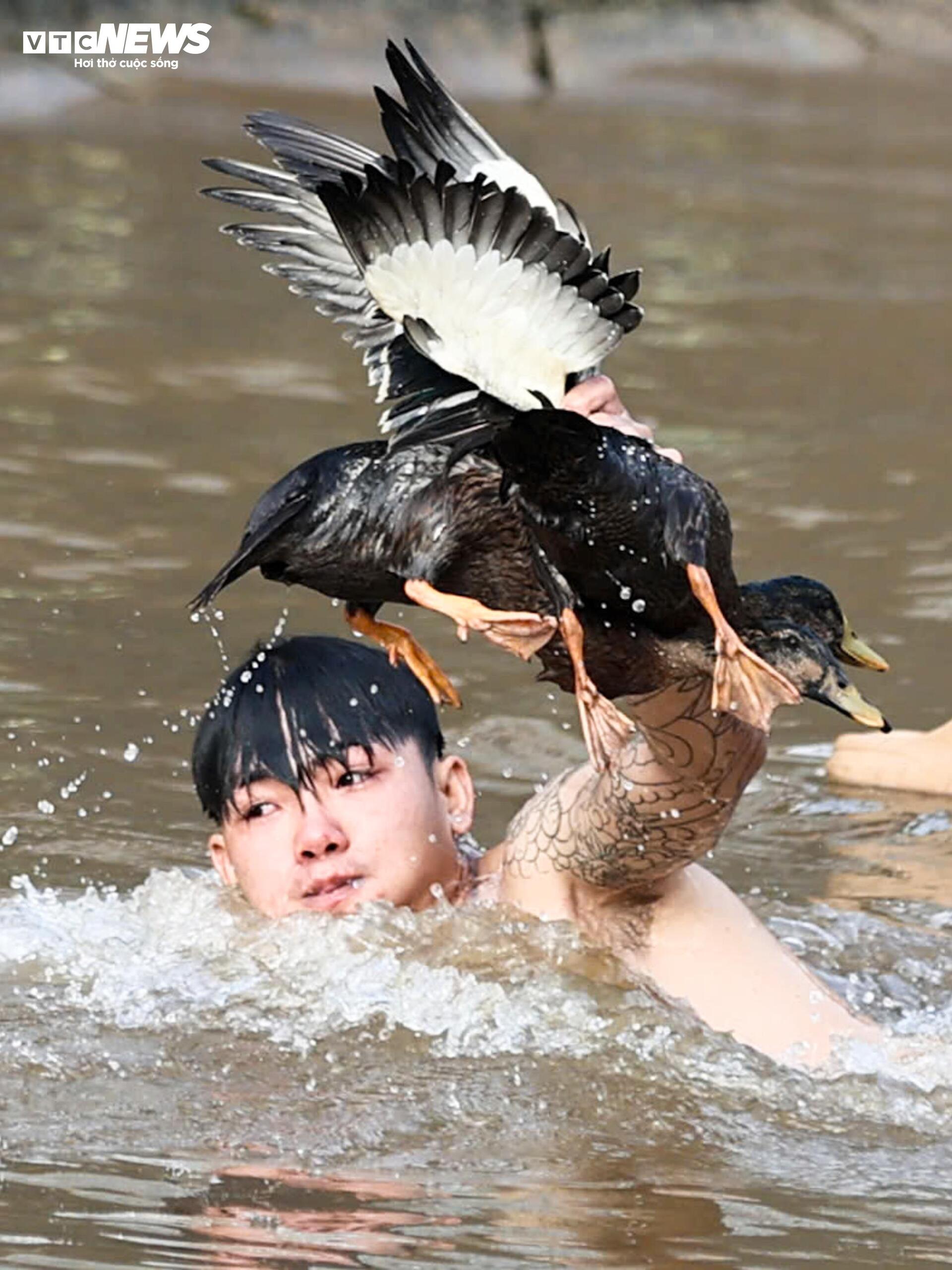 Từ thuyền và bờ kè, các thanh niên, cả nam lẫn nữ, lần lượt lao xuống nước tham gia cuộc rượt đuổi.