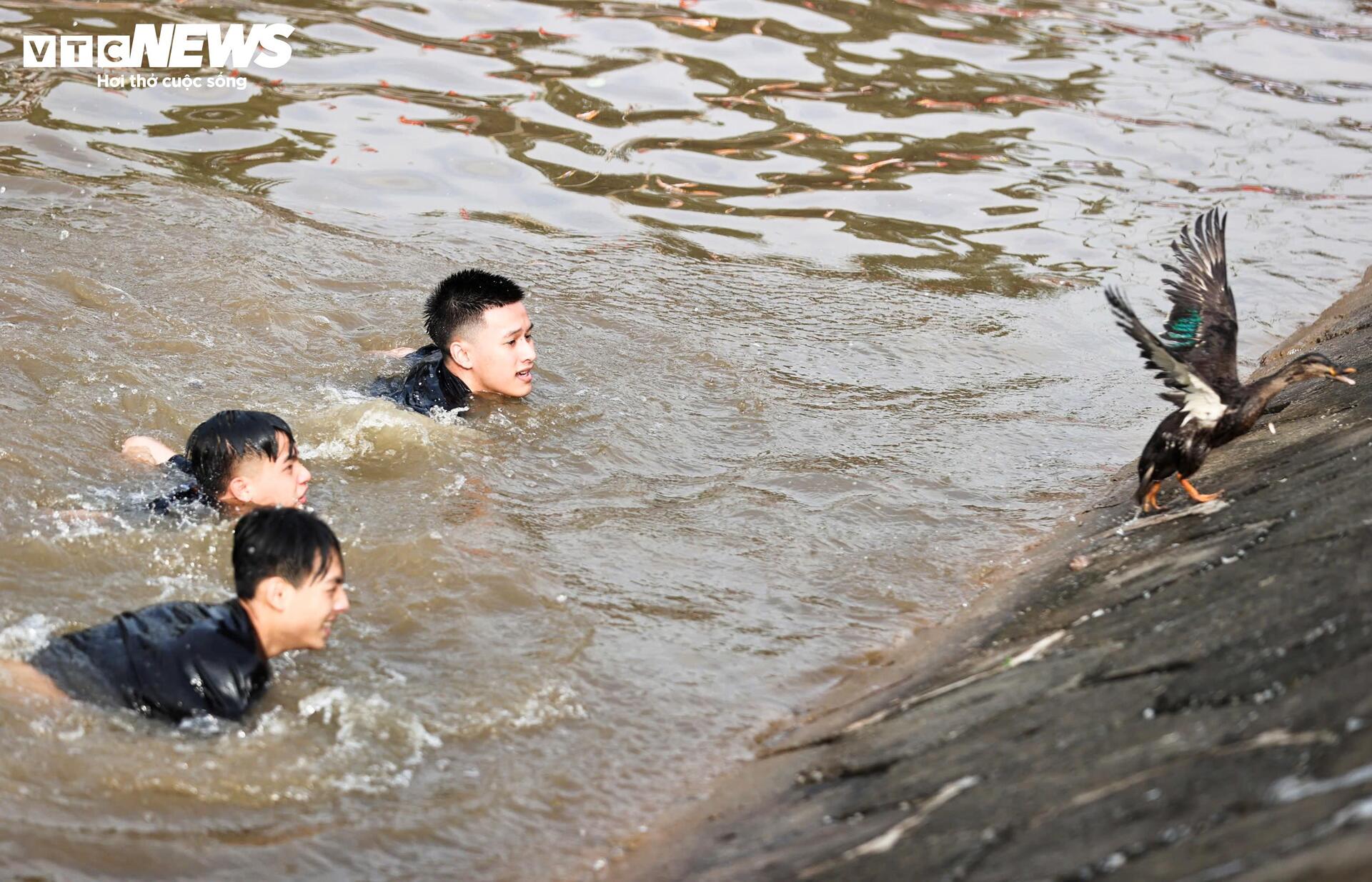 Giữa dòng nước lạnh, nhiều người không ngần ngại ngụp lặn, bơi theo đàn vịt đang tìm cách thoát thân.