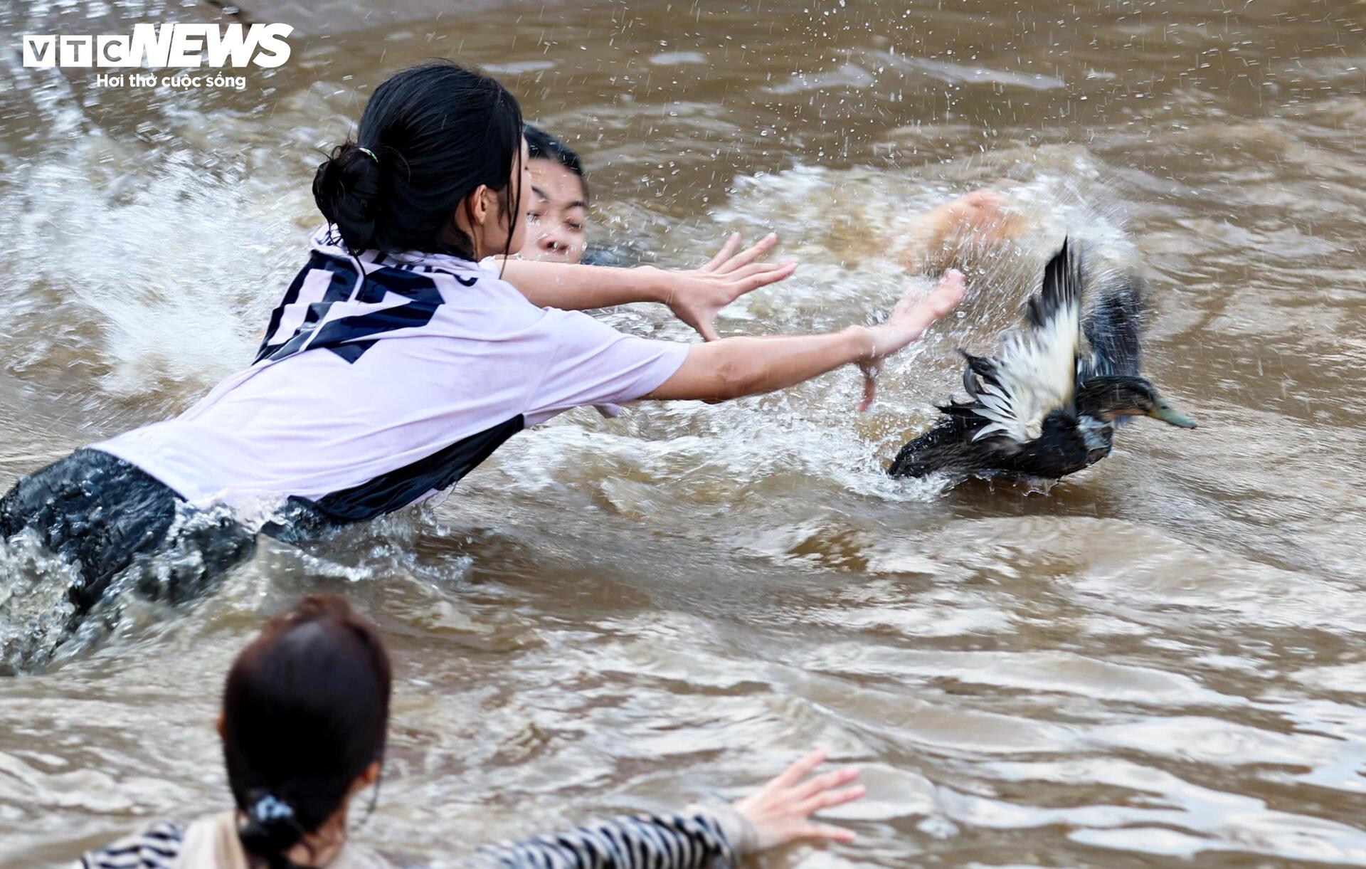 Bạn Nguyễn Thu Hằng (22 tuổi, xã Kim Đức) cho biết đây là lần đầu tiên bản thân trực tiếp tham gia bắt vịt. “Ban đầu em chỉ định đứng xem, nhưng thấy bạn bè xuống nước đông vui nên cũng tham gia. Nước lạnh nhưng không khí rất hào hứng. Ai cũng muốn thử vận may đầu năm”, Hằng nói và cho biết dù không bắt được vịt đeo ruy băng, bản thân vẫn thấy vui vì được góp phần vào không khí chung.