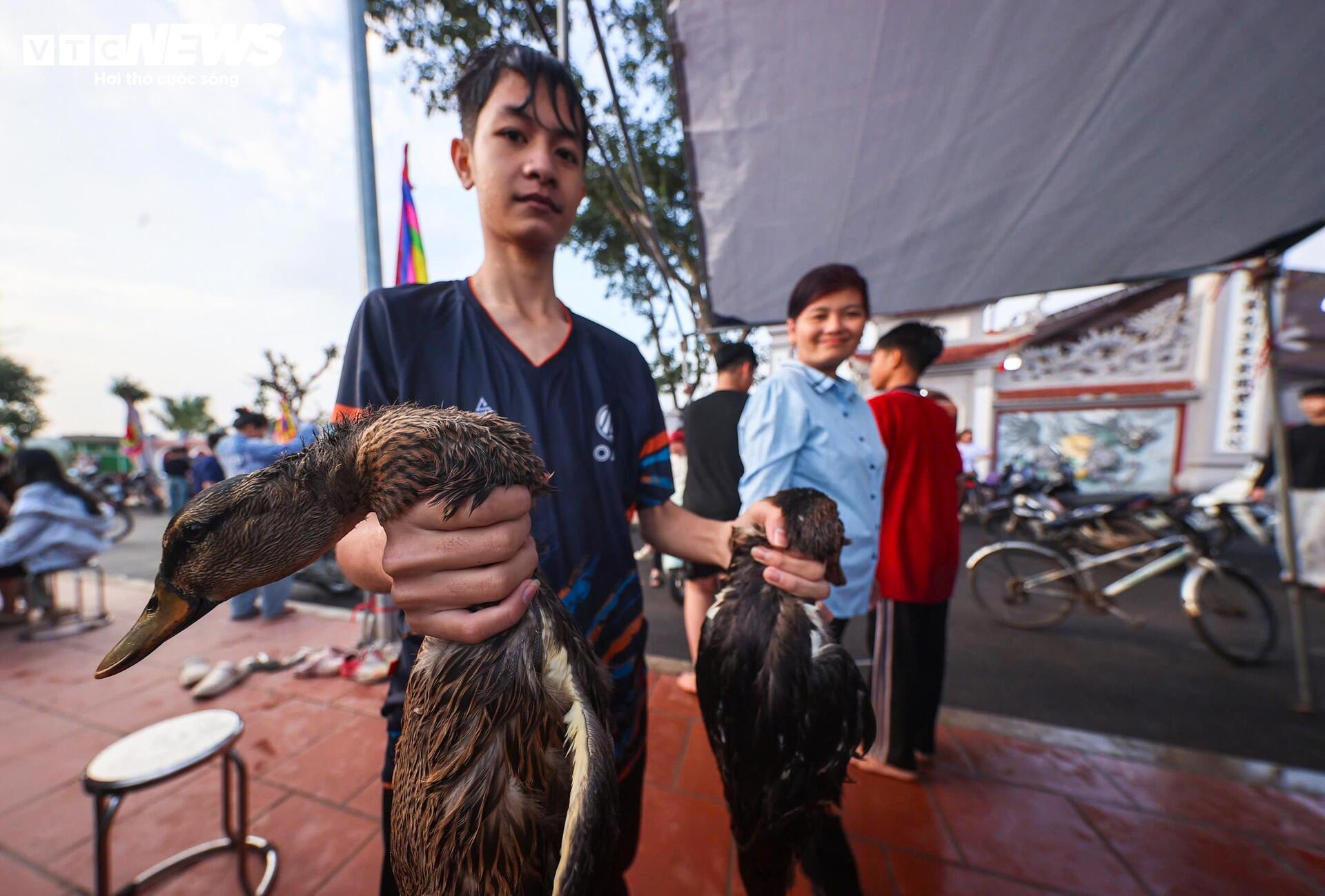 Sau nhiều phút rượt đuổi, nam thanh niên phối hợp ép được hai con vịt vào sát bờ. Trong khoảnh khắc quyết định, nam thanh niên này đã nhanh tay ôm gọn “chiến lợi phẩm” giữa làn nước bắn tung trắng xóa.