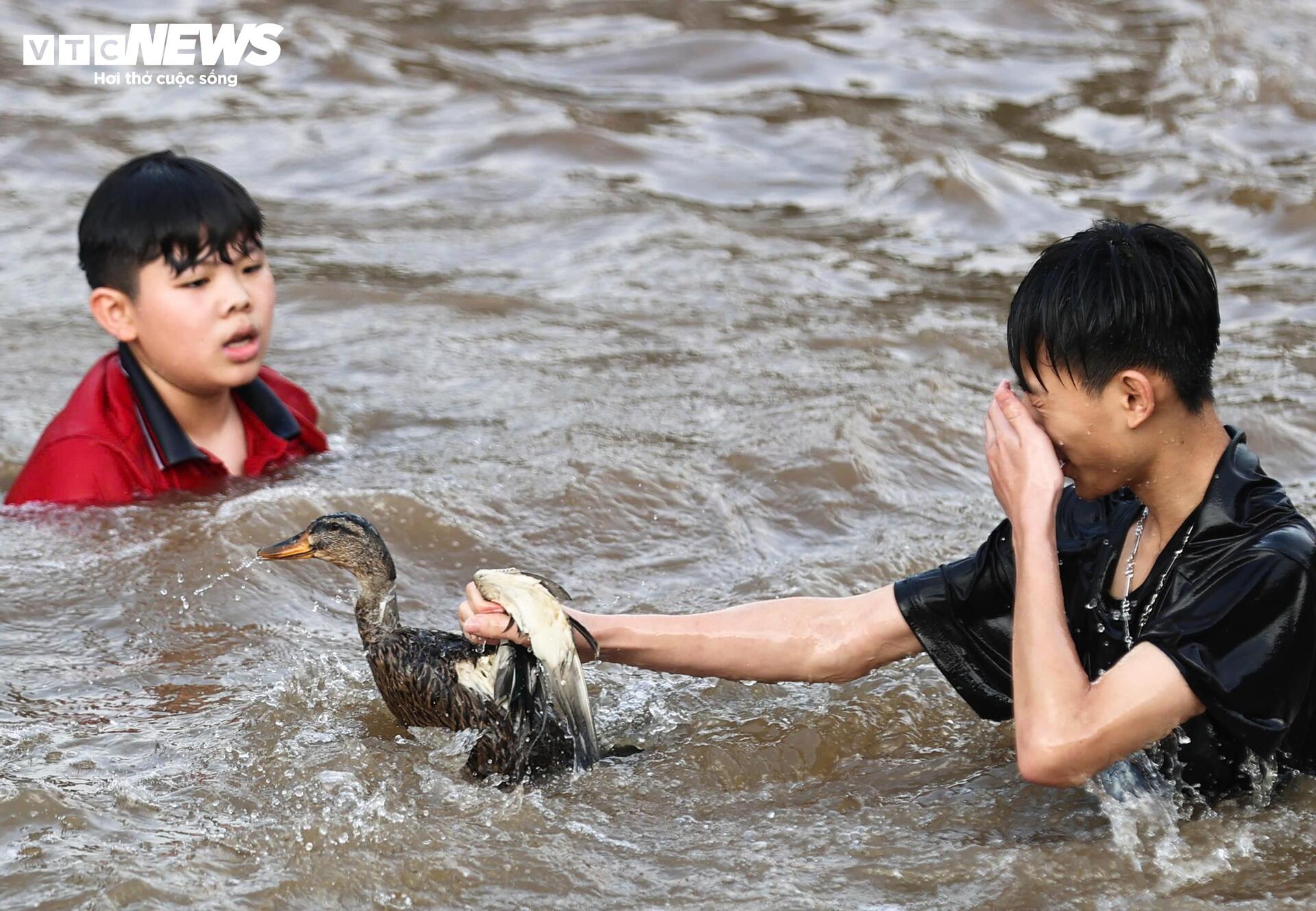 Bắt vịt không chỉ cần sức bơi mà phải quan sát hướng chạy của đàn vịt. Nếu phối hợp tốt thì cơ hội sẽ cao hơn. Đầu năm ai cũng mong có chút lộc mang về lấy may”, Hữu Mạnh (18 tuổi, ở xã Kim Đức) chia sẻ.