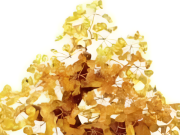 Nhà đẹp - 6 linh vật phong thủy nên có trong căn hộ tiền tỷ, đặt đúng lộc vào nhà