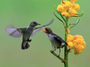 Eva tám - Những ngày sinh Âm lịch phải trải qua nhiều khó khăn mới hưởng phúc lớn