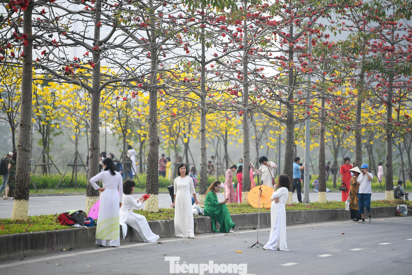 Đổ xô check-in đường hoa phong linh rực rỡ nhất Thủ đô - 3