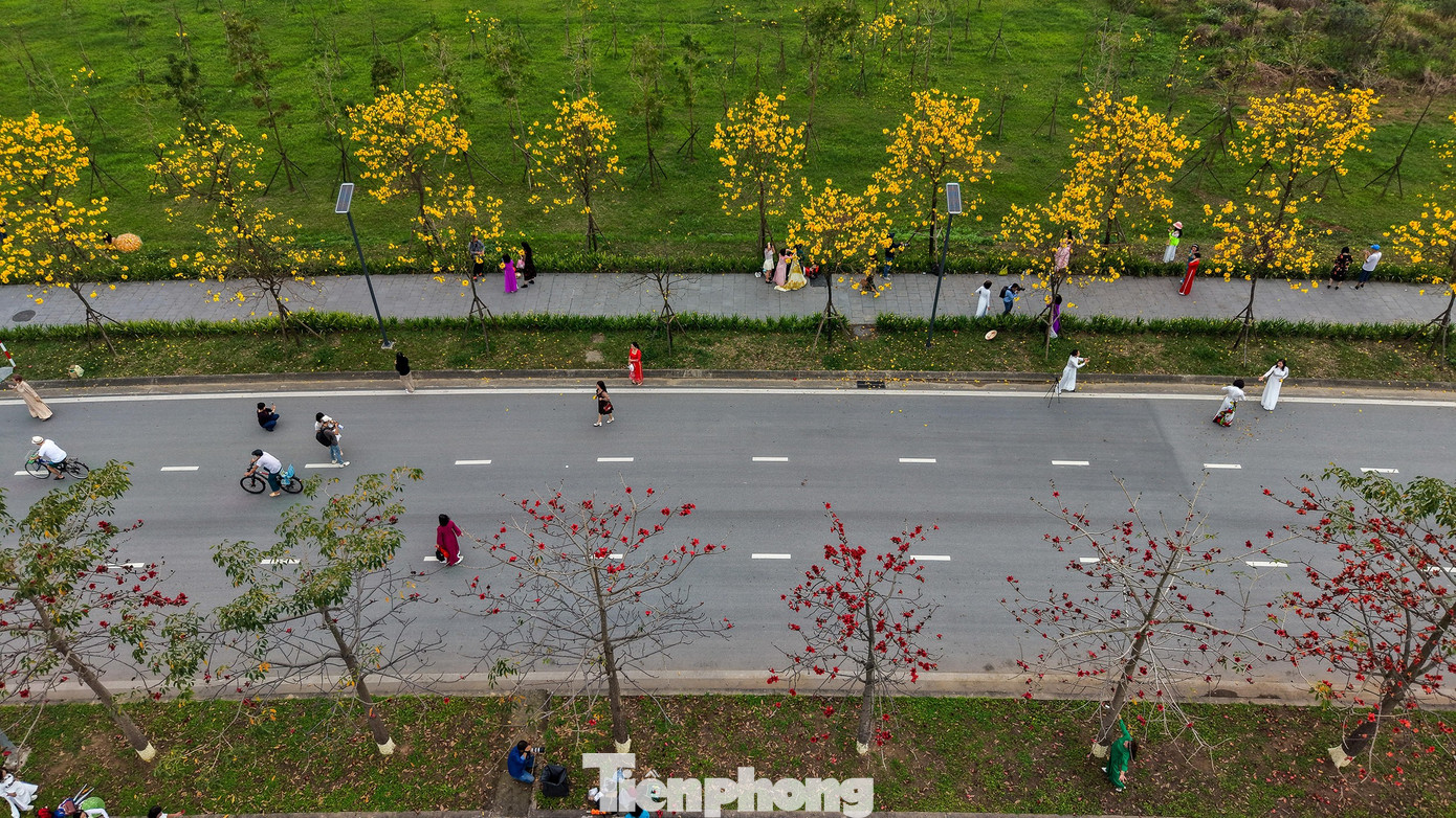 img src/upload/1-2026/images/2026-02-28/1772240129-tp-hoa-phong-linh20-width1390height927.jpg width660 /