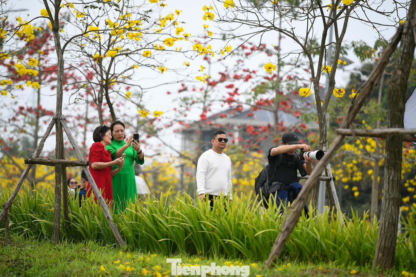 img src/upload/1-2026/images/2026-02-28/1772240135-tp-hoa-phong-linh4-width1390height927.jpg width660 /