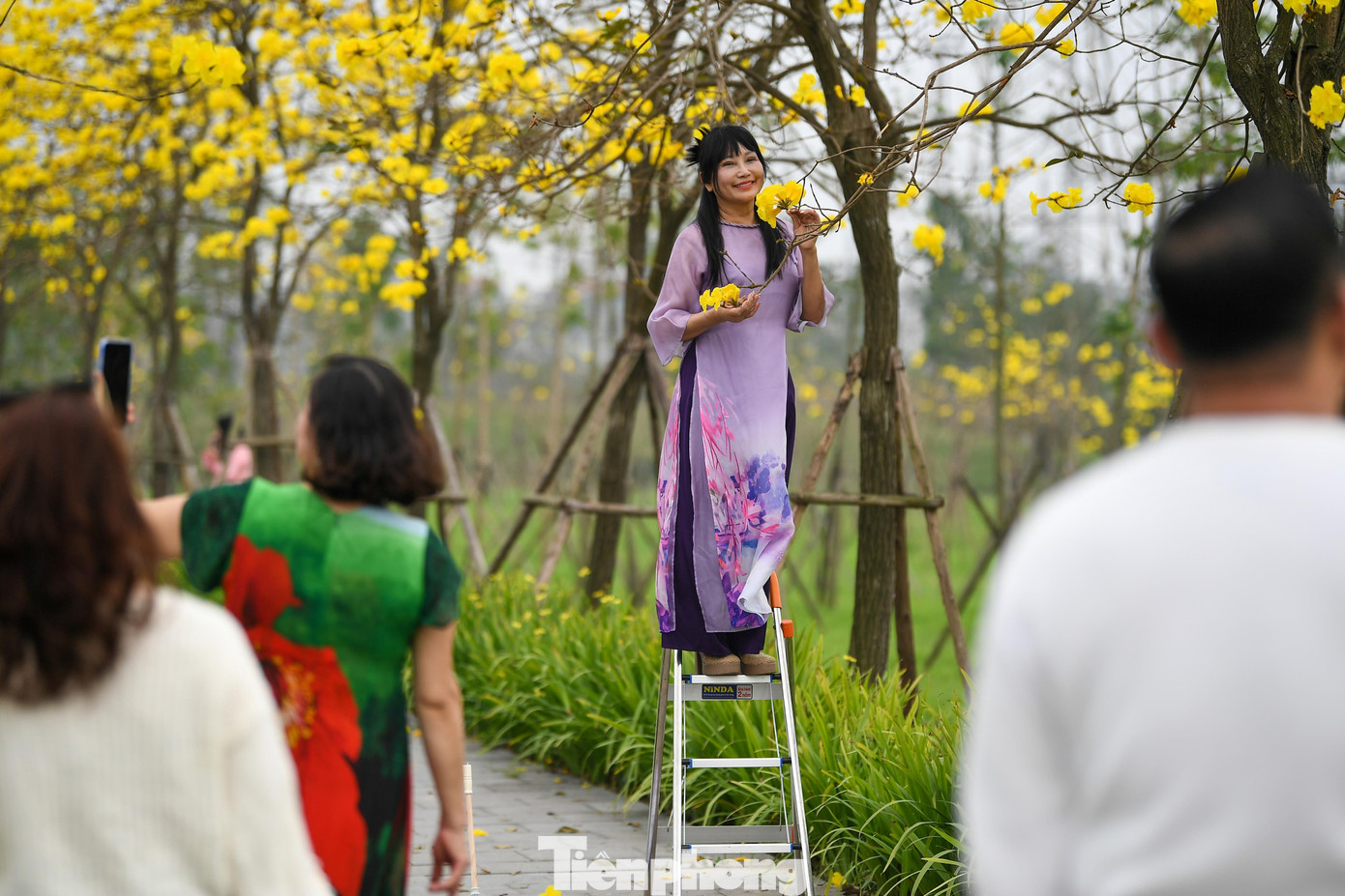 img src/upload/1-2026/images/2026-02-28/1772240136-tp-hoa-phong-linh16-width1390height927.jpg width660 /