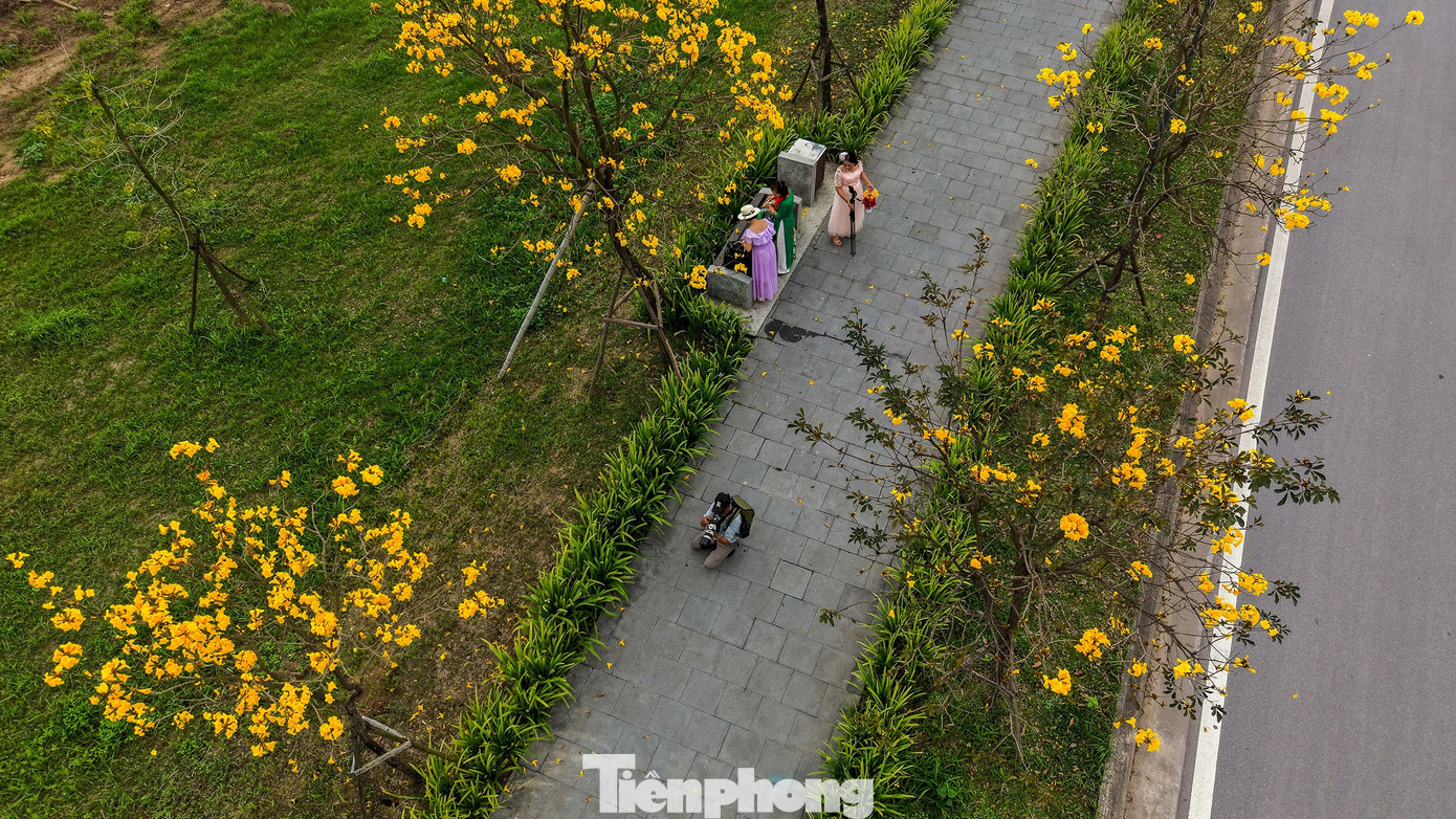 img src/upload/1-2026/images/2026-02-28/1772240137-tp-hoa-phong-linh18-width1390height846.jpg width660 /