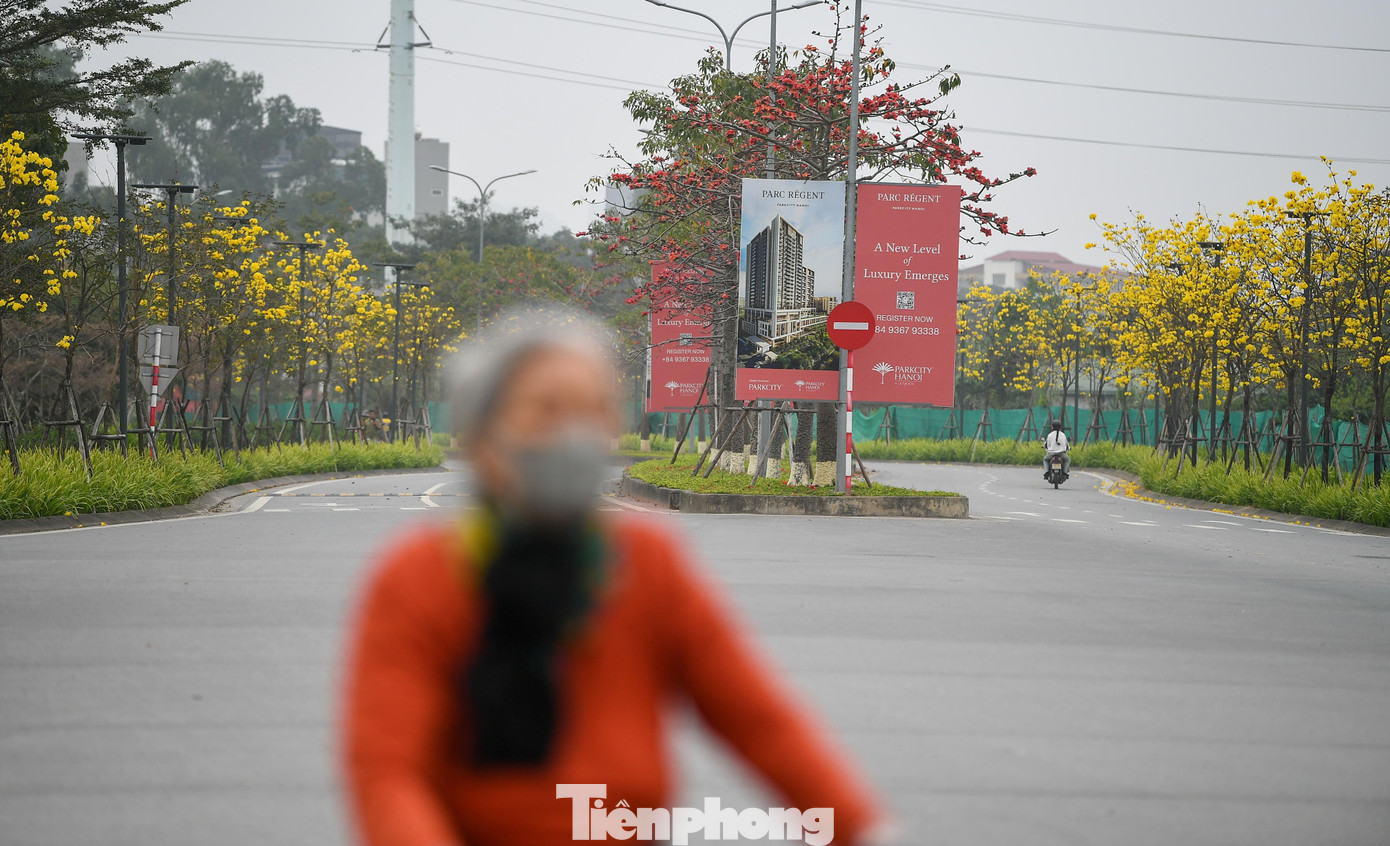 Đổ xô check-in đường hoa phong linh rực rỡ nhất Thủ đô - 14
