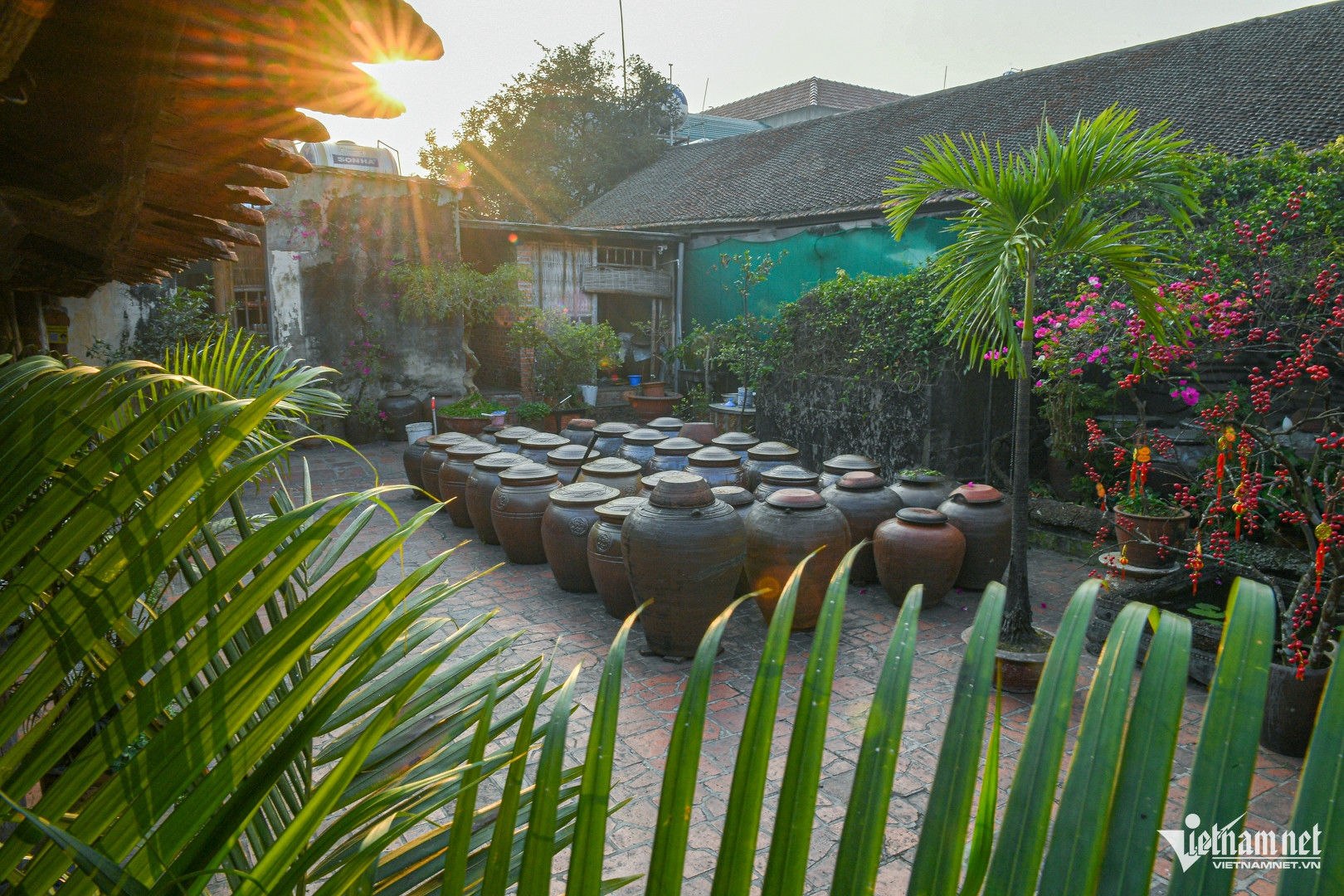 Những chum tương nếp trong sân nhà cổ