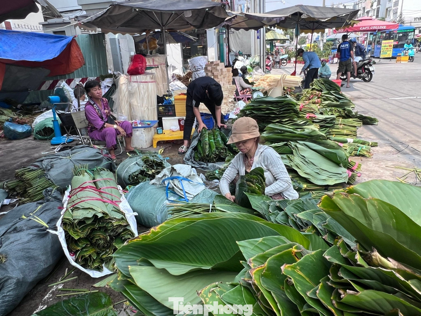 Chợ lá dong ngã ba Ông Tạ chỉ họp mỗi năm vào dịp Tết