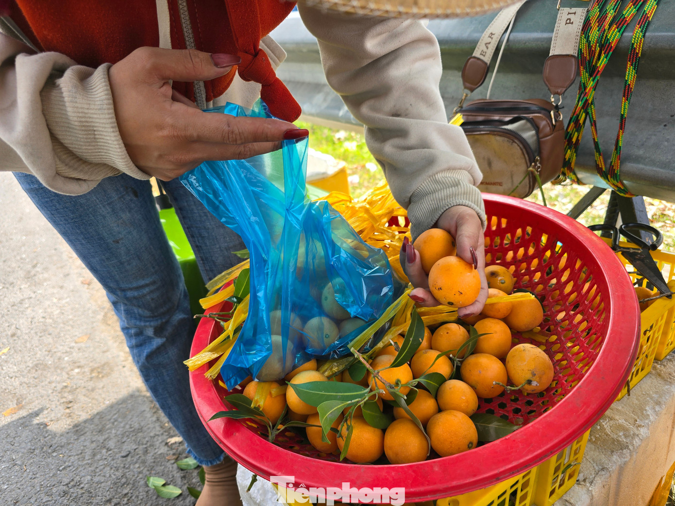 img alt src/upload/1-2026/images/lienntt1/tra1-1772425049-473-width780height589.jpg /