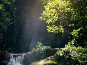 Bà bầu - Ngày sinh Âm lịch cát tường: Hậu vận an lành đã được định sẵn
