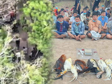 Dùng flycam theo dõi trường gà ở TP HCM, cảnh sát đột kích bắt hàng chục người