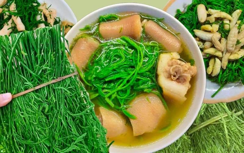 Canh rau thối đuôi lợn. Một tô canh rau thối với đuôi lợn là đủ dinh dưỡng và phá tan nóng bức mùa hè cũng như làm ấm cái bụng vào thời tiết xuân đang qua và hè sắp tới. Bạn sẽ cảm nhận được hương vị béo ngọt chiết ra từ đuôi lợn và sự động đà bùi bùi của rau.