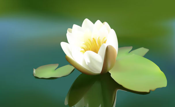 Người có giờ sinh Âm lịch vào giờ Thân thường không hài lòng với sự an toàn đơn thuần. Họ dám thử sức ở những lĩnh vực mới, chấp nhận rủi ro có tính toán - Ảnh minh họa.