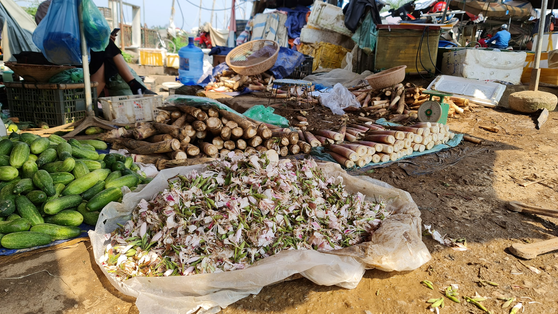 Khoảng tháng 2, 3 âm lịch, hoa ban và măng rừng được bày bán phổ biến ở Tây Bắc. Đây là 2 trong số các nguyên liệu làm nên món nộm trứ danh ở vùng cao. Ảnh: Trịnh Cường