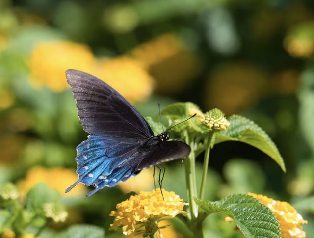 Nhờ tư duy linh hoạt, người sinh giờ Hợi Âm lịch có khả năng thích ứng tốt với những thay đổi của cuộc sống - Ảnh minh họa.