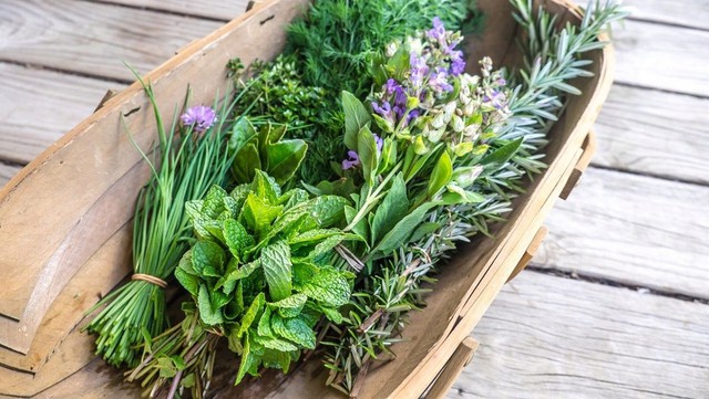 Nhiều loại rau gia vị vừa th&ecirc;m hương vị cho m&oacute;n ăn vừa tốt cho sức khỏe.