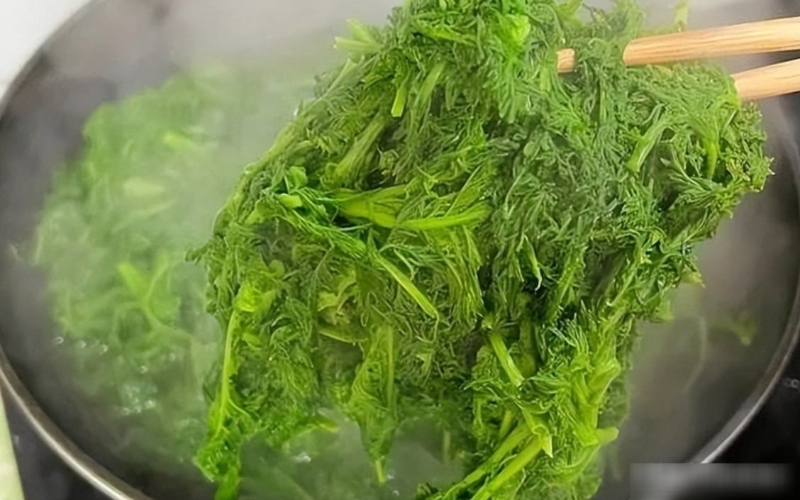 Loại rau báu vật từ lá đến rễ, nhiều người coi như cỏ dại, bổ não, dưỡng sức, làm bánh bao ngon tuyệt - 3