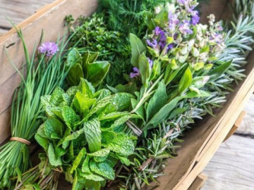 5 loại rau gia vị tốt nhất giúp giảm viêm và tăng cường sức khỏe tim mạch