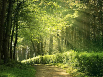 Bà bầu - Giờ sinh Âm lịch của đứa trẻ vượng khí: Lớn lên dễ làm rạng danh cha mẹ