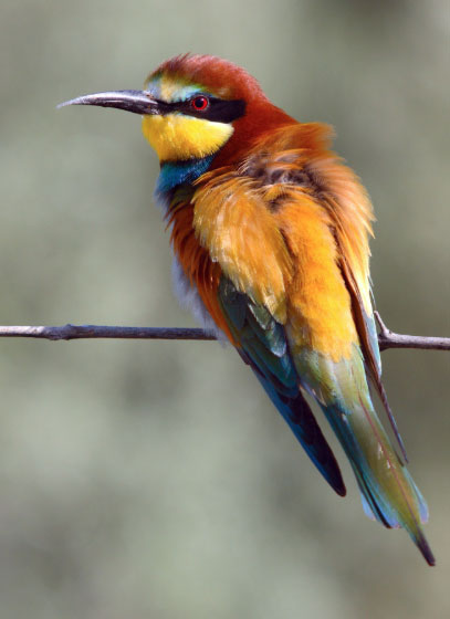 Dù xuất phát điểm không quá thuận lợi, những người sinh vào ngày mùng 2 và 14 Âm lịch vẫn từng bước xây dựng sự nghiệp bằng sự chăm chỉ và bền bỉ của mình. Ảnh minh họa