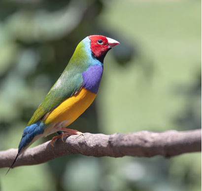 Dù làm việc trong lĩnh vực nào, người sinh vào ngày mùng 7 và 22 Âm lịch cũng có cách tiếp cận vấn đề độc đáo, từ đó dễ dàng tạo dấu ấn riêng. Ảnh minh họa