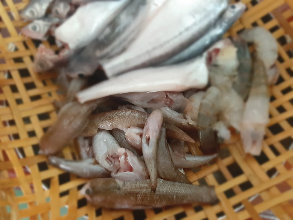 Cá hủn hỉn là loại cá gì, vì sao xưa gọi là cá nhà nghèo, nay cá bé tí lại là đặc sản quê nhà, kho tiêu cả xóm mê tơi? - 1