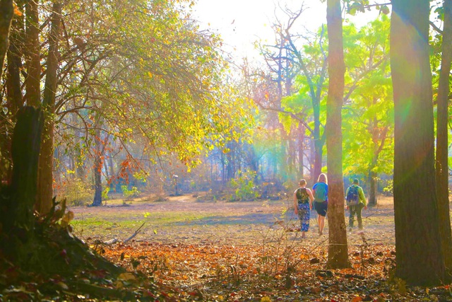 Theo Anh Hoàng Thanh Tùng, Du Khách Đến Từ Hà Nội, Vườn Quốc Gia Yok Đôn Có Hệ Sinh Thái Độc Đáo Với Nhiều Loài Động, Thực Vật Quý Hiếm. Các Tour Du Lịch Khám Phá Rừng Khộp Mùa Thay Lá, Xem Voi, Ngắm Chim, Đạp Xe, Cắm Trại… Mang Đến Cho Du Khách Những Trải Nghiệm Thú Vị Về Thiên Nhiên Hoang Dã Nơi Đây.